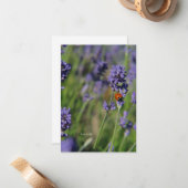 レディーバグ&ラベンダー ノートカード (正面/裏面インサイチュ)