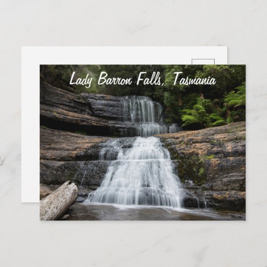 レディーバロン滝ウォーターフォールタスマニアオーストラリア ポストカード (正面/裏面)