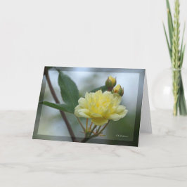 レディーバンクスロシー カード