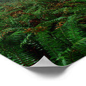 レディーバードジョンソングローブ ポスター (角)