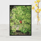 レディーバード[グリーティングカード] カード (黄色い花)