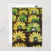 レディーフィンガーバナナ~エッグバナナ(กล้วยไข่) ポストカード (正面/裏面)