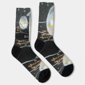 レディームーンローズソックス ソックス (右)