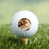 レディーリリス素晴らしト(長赤毛の美しい) ゴルフボール (インサイチュ 木)