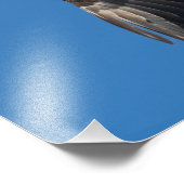 レディ素晴らしー フォトプリント            (角)