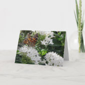 レディ絵を描ー蝶誕生日カード カード (正面)