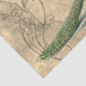 レディ・アンド・ピーコック 薄葉紙 (詳細)