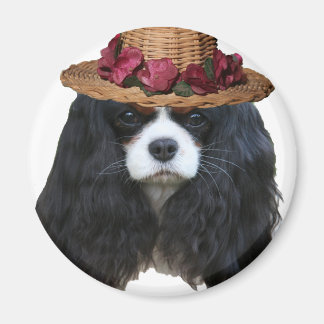 レディ・タンシー マグネット