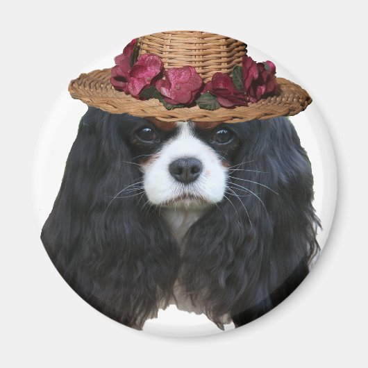 レディ・タンシー マグネット (正面)