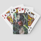 レディ トランプ (裏面)