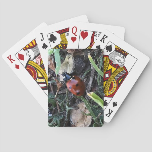 レディ トランプ (裏面)