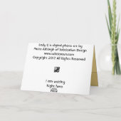 レディC カード (裏面)