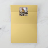 レディC カード (内部)