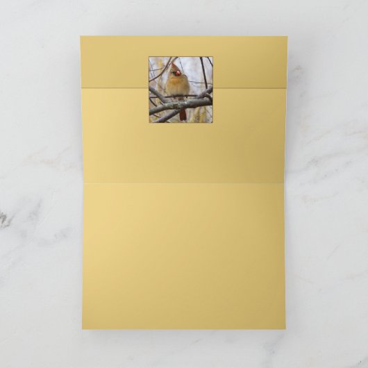 レディC カード (内部)