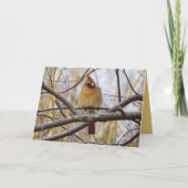 レディC カード (正面)