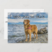 レトリバーでビーチ恋しく思ユー ポストカード (正面/裏面)