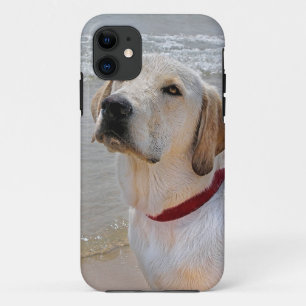 レトリバーの目 iPhone 11 ケース