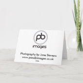 レトリバー – 黄金 カード (裏面)