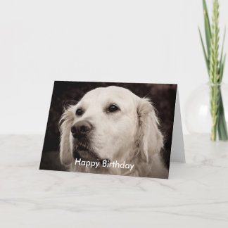 レトリバー – 黄金 カード