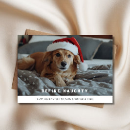 レトロいけなDefine Christmas Santa Hat Dog写真 シーズンカード