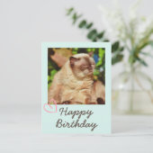 レトロでかわいい猫の誕生日ポストカード ポストカード (スタンド正面)