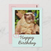 レトロでかわいい猫の誕生日ポストカード ポストカード (正面/裏面)