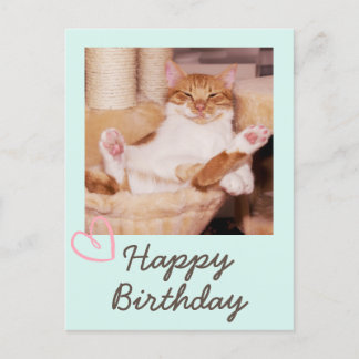 レトロでかわいい猫の誕生日ポストカード ポストカード