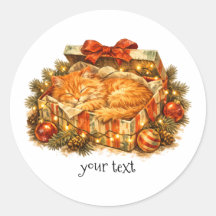 レトロなクリスマスギフトボックスの中で眠るオレンジ色の猫のぬいぐるみ