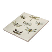 レトロなトンボのタイルの群れ タイル (側面)