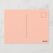 レトロなフロリダ ポストカード (裏面)