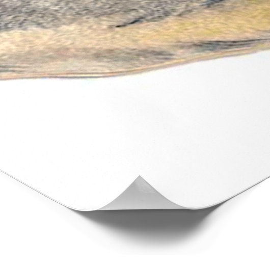 レトロなヴィンテージイースターバニーの装飾ポスター ポスター (角)