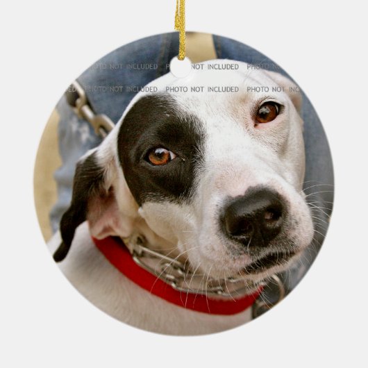 レトロのクリスマスのかわいい女の子の赤いポインセチアの写真 セラミックオーナメント (裏面)