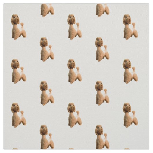 レトロのピンクのプードル ファブリック (見本)