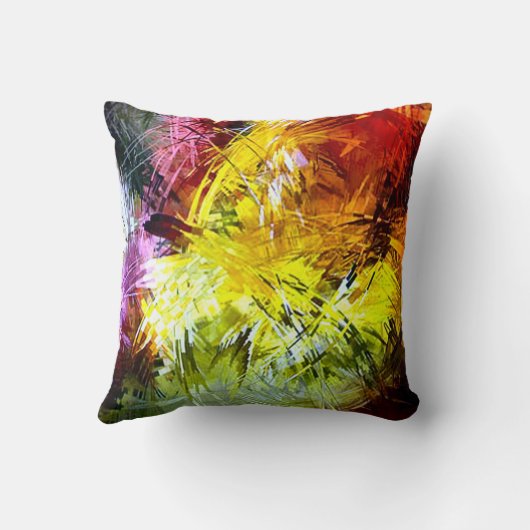 レトロのペンキの抽象芸術のプラシ天の装飾用クッション クッション (裏面)