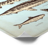 レトロの海違うのポスター ポスター (角)