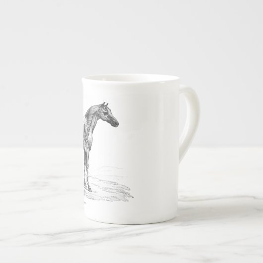 レトロの馬筋肉解剖学の写真 ボーンチャイナマグカップ (正面右)