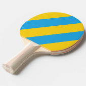 レトロアクアリーフスリーはっきりしたストライプズ 卓球ラケット (正面アングル)