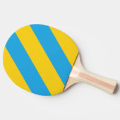 レトロアクアリーフスリーはっきりしたストライプズ 卓球ラケット (横)