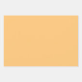 レトロガーデンフラワーグルーヴィーフローラピンクイエロー ラッピングペーパーシート (正面2)