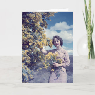 レトロキャンベラの編み枝細工- カード