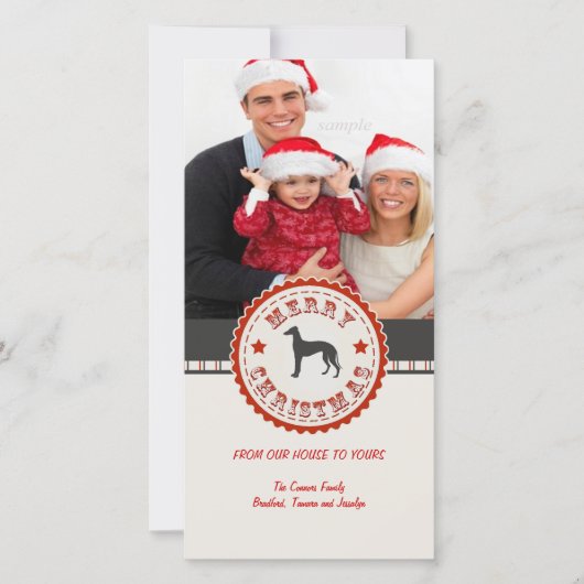 レトロクリスマスグレイハウンド犬カスタムの写真 シーズンカード (正面)