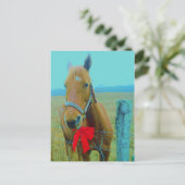 レトロクリスマスホース シーズンポストカード (スタンド正面)