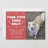 レトログルーヴPaws-acticかわいい犬の写真クリスマス シーズンカード (正面)