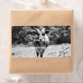 レトログレーブルフォト ラベル (インサイチュ)