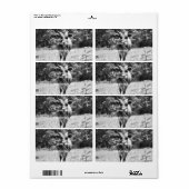 レトログレーブルフォト ラベル (フルシート)