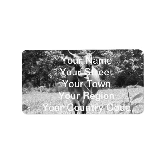 レトログレーブルフォト ラベル (正面)