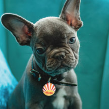 レトロサンセットサンレイパーソナライズされたズ名