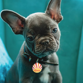 レトロサンセットサンレイパーソナライズされたズ名 ペット　ネームタグ