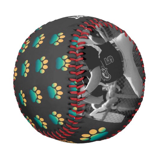 レトロサンセットフォトファーザーズ最高のデイキャットパパエバー 野球ボール (アングル)