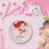 レトロサンタ誕生日 ペーパープレート (パーティー)